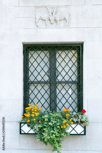 Window with Flower Box and Stone Carving