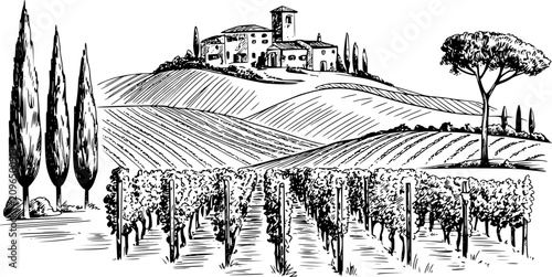Cuadro en lienzo Black and white line of a tuscan vineyard landscape with a villa on a rolling hi