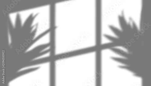 Foto Transparent Tree Silhouette against Windowpane Background