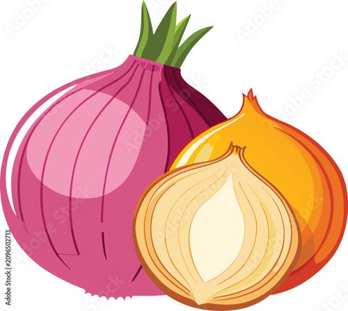realistic-vector-illustration-of-two-onions