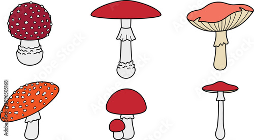 Bild auf Leinwand Red Mushroom Vector Set with Fly Agaric Toadstool Fungi in Various Shapes Forest