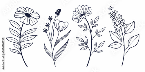 Foto Black and white line of four distinct flowers line flowers