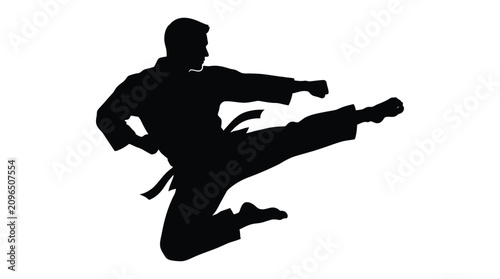 Martial artist silhouette performing a kick against a white background