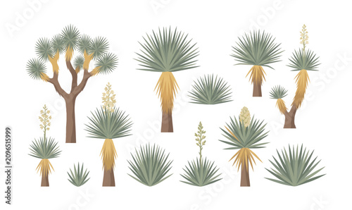 Collection of joshua Tree Plants in Desert Landscape.