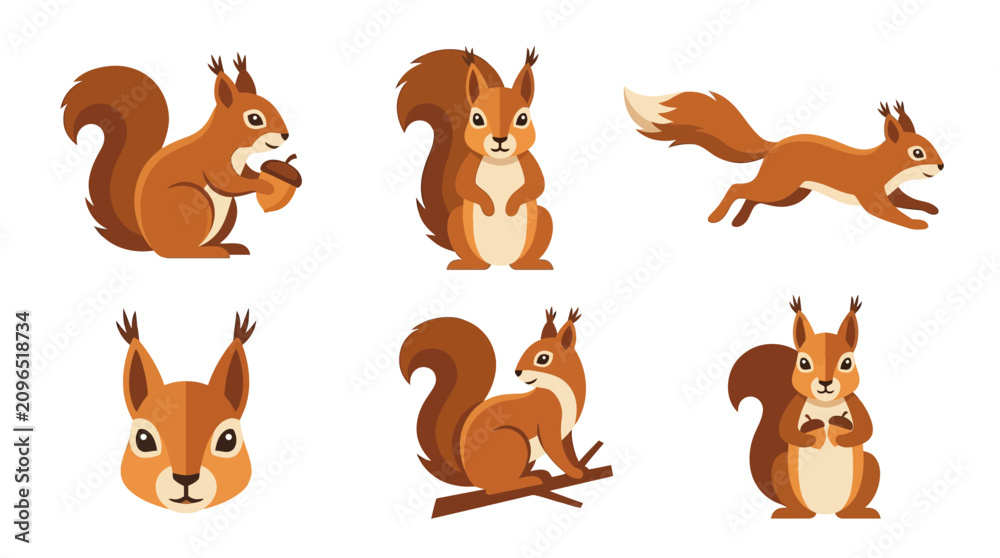 Fototapeta premium Squirrel Illustrations A Collection Of Vector Graphics In Various Poses