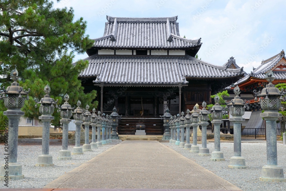 Fototapeta premium 酒見寺 本堂