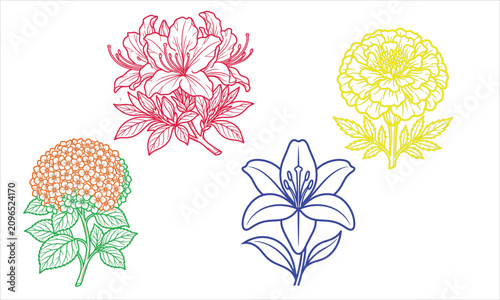 Modern floral vector illustration collection featuring elegant flowers, leaves, and botanical elements. Perfect for logo design, branding, invitations, wedding stationery, packaging, textile prints
