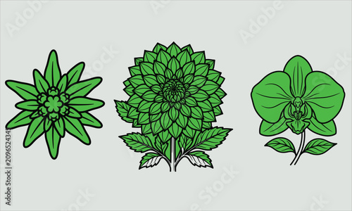 Modern floral vector illustration collection featuring elegant flowers, leaves, and botanical elements. Perfect for logo design, branding, invitations, wedding stationery, packaging, textile prints