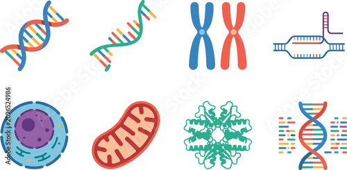 Bild auf Leinwand Molecular Genetics Icon Set with DNA RNA Chromosomes Cell Mitochondria and Gene