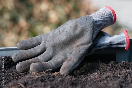 Spring gardening concept with protective glove in soil