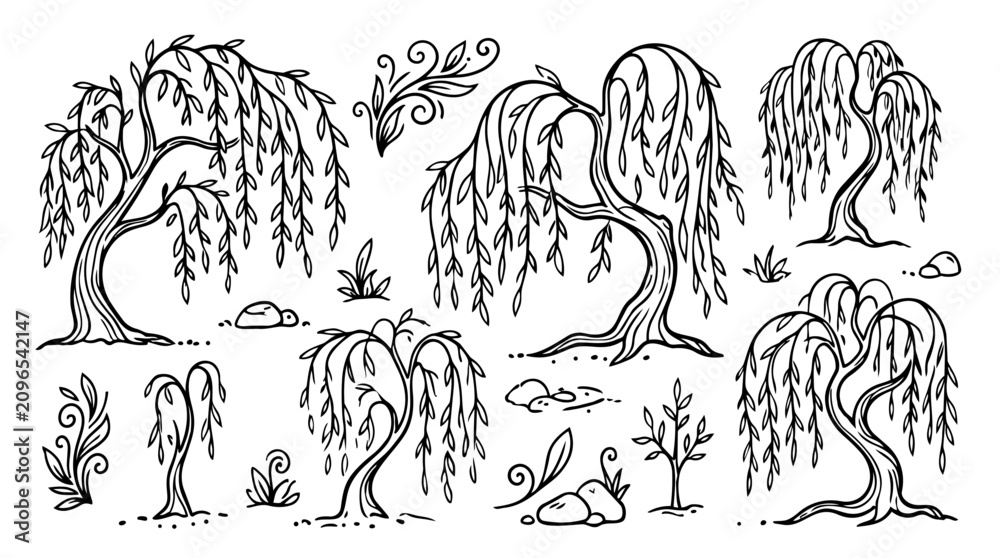Obraz premium Hand drawn doodle vector mega pack of willow tree illustrations featuring hanging willow branches, flowing foliage, curved trunks, woodland nature elements isolated on white background