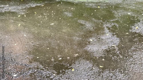 Rainwater puddles on gravel surface with fallen leaves and ripples from raindrops