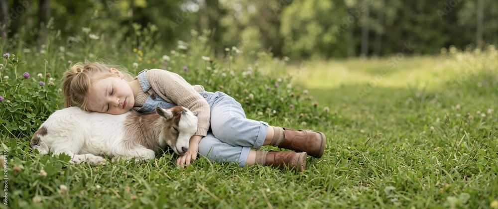 Fototapeta premium Little girl sleeping on green grass next to a resting baby goat. Child and farm animal taking a nap together in a summer meadow