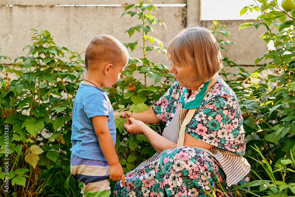 Fototapeta premium Elderly woman kneels in garden showing small boy different plants while he listens with interest. They are surrounded by green foliage