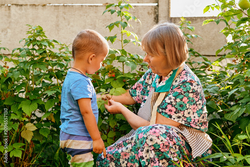 Elderly woman kneels in garden showing small boy different plants while he listens with interest. They are surrounded by green foliage