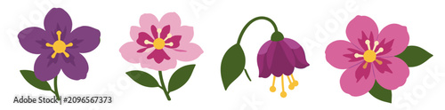 Collection strip of four different flowers including a star shaped bloom, pink blossom, drooping bell flower and magenta petals, ideal for varied floral designs.
