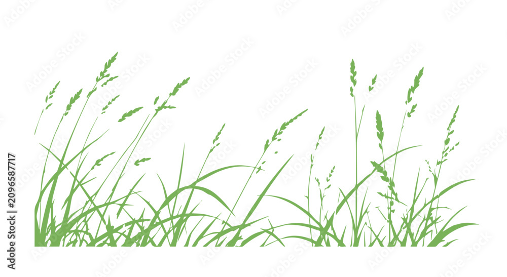 Obraz premium Grass green silhouette vector isolated on white background nature design illustration of grass plant pattern greenery artwork Hand drawn. Not AI, vector illustration.