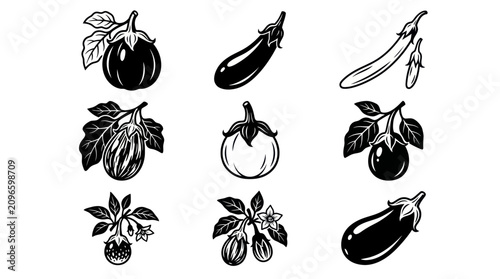 including globe eggplant, Japanese eggplant, Chinese eggplant, graffiti eggplant, white eggplant, Indian eggplant, Thai eggplant, fairy tale eggplant, and Sicilian eggplant 