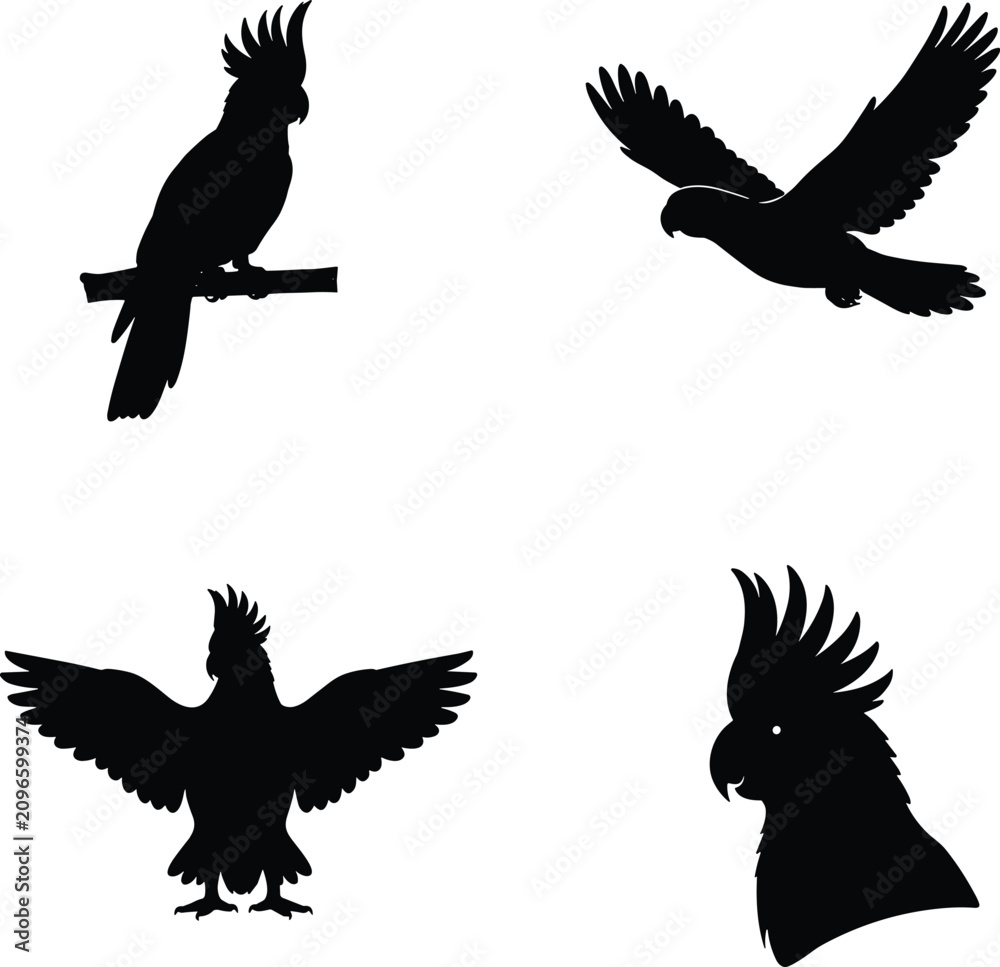 Fototapeta premium Cockatoo Silhouettes in Flying, Perched, Landing, and Crest-Raised Poses