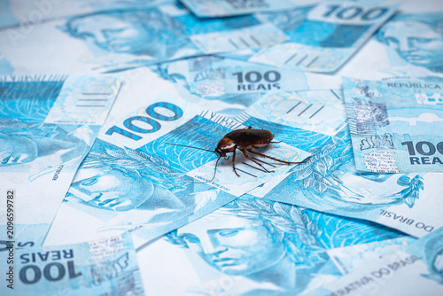Foto cockroach walking on 100-real banknotes, concept of corruption, financial scanda