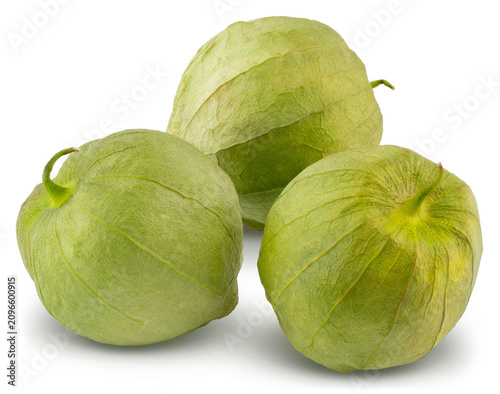 Tomatillo fresh green Mexican husk tomato in natural papery husk. Traditional ingredient for salsa verde, Mexican cuisine, cooking, healthy recipes and organic produce. Food Photo. Isolated background