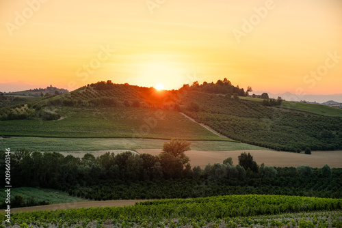 Sunset Over Vineyards and Rolling Hills in Piedmont, Italy During Summer