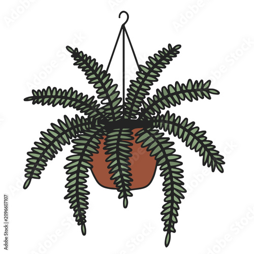 Billede på lærred Simple illustration of a hanging fern plant with feathery fronds in a brown pot on white background