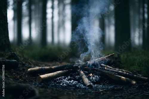 A small campfire burns brightly in a dark, misty forest, with smoke rising into the cool air. Sunlight filters through the tall trees in the soft, diffused background, creating a serene and atmospheri