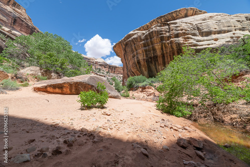 Photos The Armstrong Canyon near Kachina Natural Bridge in Natural Bridges National Mon