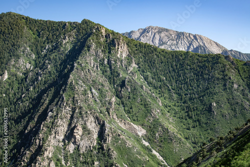 Canvas Print Mount Olympus and the Millcreek Canyon wall, Wasatch Range, Utah