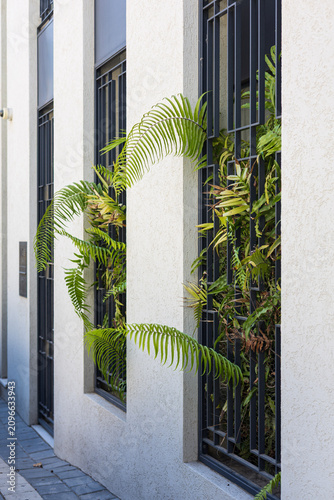 Φωτογραφία Architectural Windows with Vertical Fern Gardens