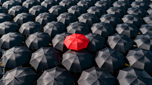 A single red umbrella standing out in a massive sea of identical black umbrellas viewed from above, individuality concept