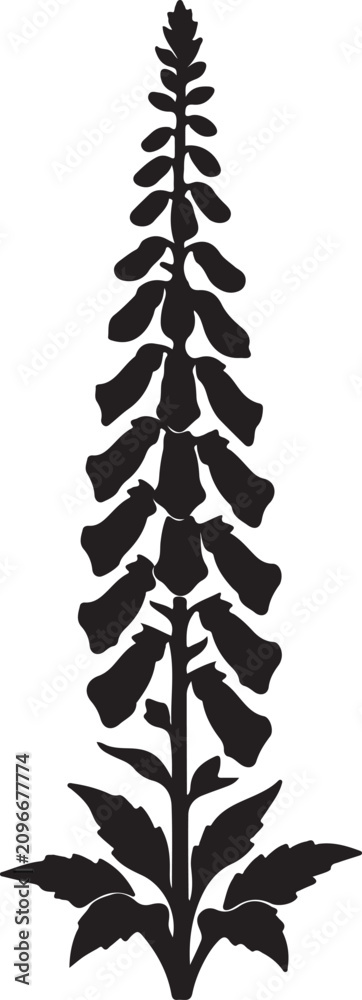 Obraz premium Vintage foxglove flower silhouette vector, botanical digitalis plant illustration, black floral garden element for wedding invitations