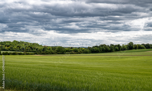 landscape with green grass and blue sky windmills in the background