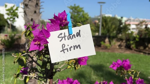 Stand firm - christian motivational text with pink flowers in background, biblical faith concept