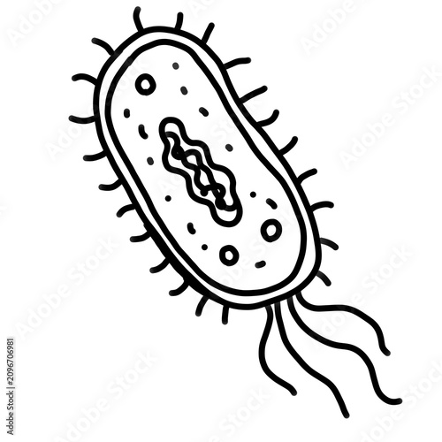 Hand drawn bacteria doodle icon isolated on white background. Minimal black outline bacterium illustration for microbiology, biology, healthcare, laboratory research, medicine, science, infection, edu