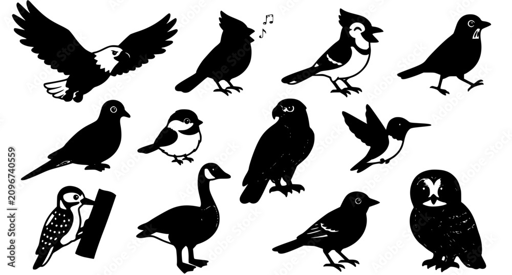Obraz premium Colorful North American Bird Cartoon Character Set with Twelve Unique Wildlife Vector Illustrations Isolated on White Background