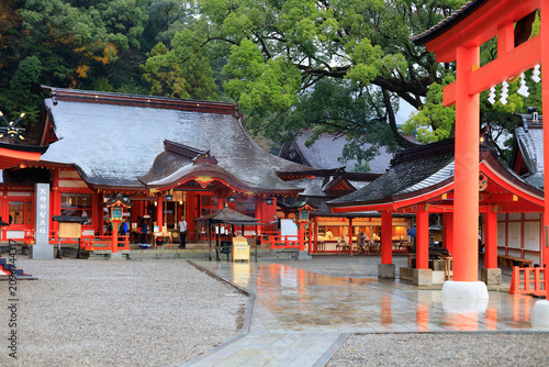 Fotografie 雨に輝く熊野那智大社
