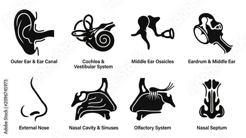 Tableau sur toile Human Ear and Nose Anatomy Diagrams: Outer Ear, Cochlea, Middle Ear, Eardrum, No