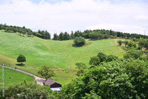 rural landscape in the mountains