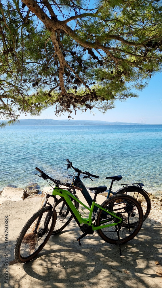 Fototapeta premium Vertical open shot of two modern e-bikes standing in the shade of a pine tree on a coastal path next to transparent crystal clear turquoise sea water in Croatia.