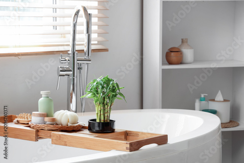 Bamboo plant and bath acces...