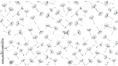 Pattern background of flying dandelion seeds on white surface minimalist.