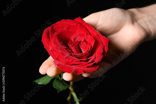 Female hand with beautiful ...