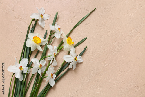Daffodil flowers on beige b...