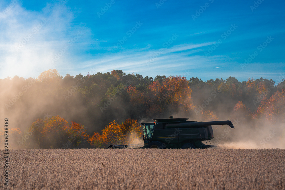 Obraz premium Summer harvest. Fields with harvest wheat. Combine harvester in a wheat field. Harvest on rural farm. Combine harvester machinery. Combine harvester at work. Rural landscape with a harvest.