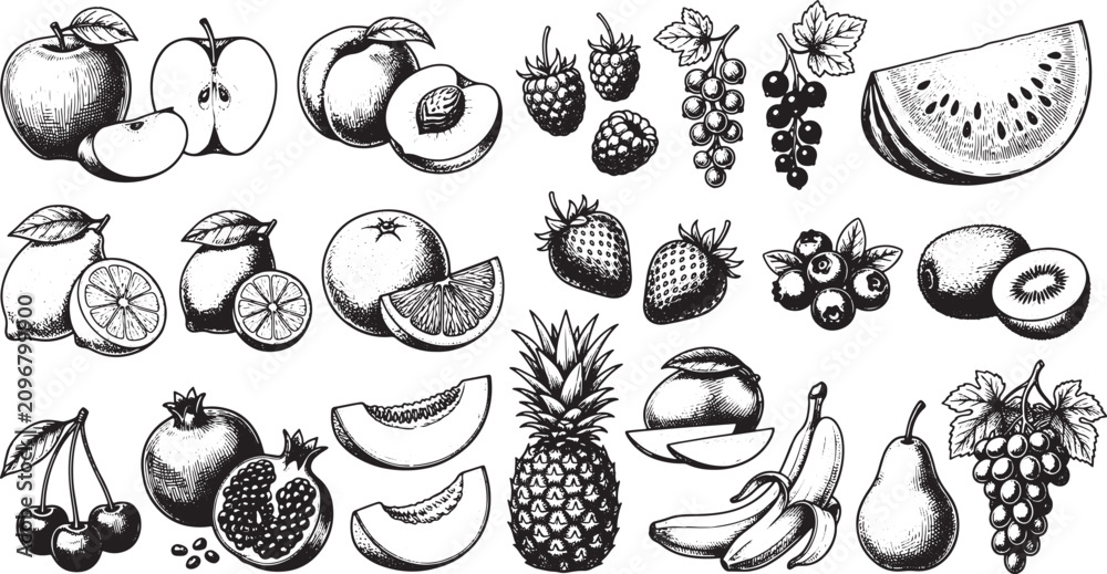 Fototapeta premium Hand drawn fruit collection featuring various fresh produce items in a detailed black and white sketch style