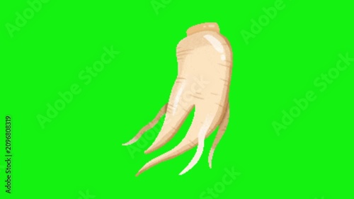 Ginseng Chroma Key Green Screen Animation