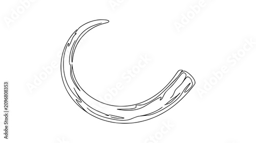 Curved Ivory Tusk Outline Drawing