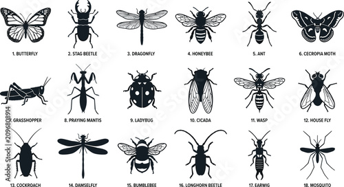 Cuadro en lienzo Detailed set of black silhouette icons representing eighteen various insects, beetles, and flying bugs for biological study